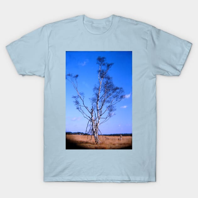 Lonely birch T-Shirt by robelf